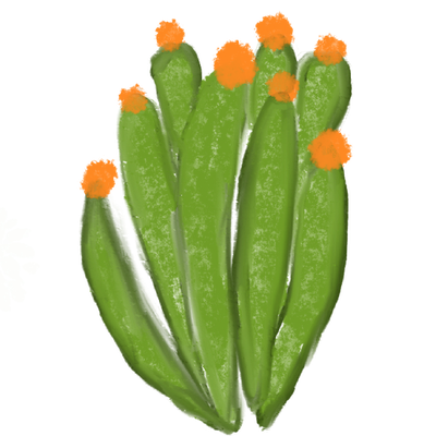 plant 8